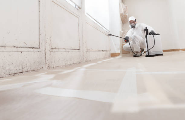 24/7 Emergency Mold Inspection experts in Fairfax, VA