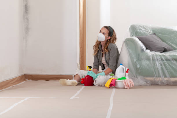 Reliable Mold Inspection contractor in Fairfax, VA by WQB Mold Removal
