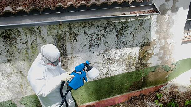 Top rated local Mold Inspection specialists in Fairfax, VA